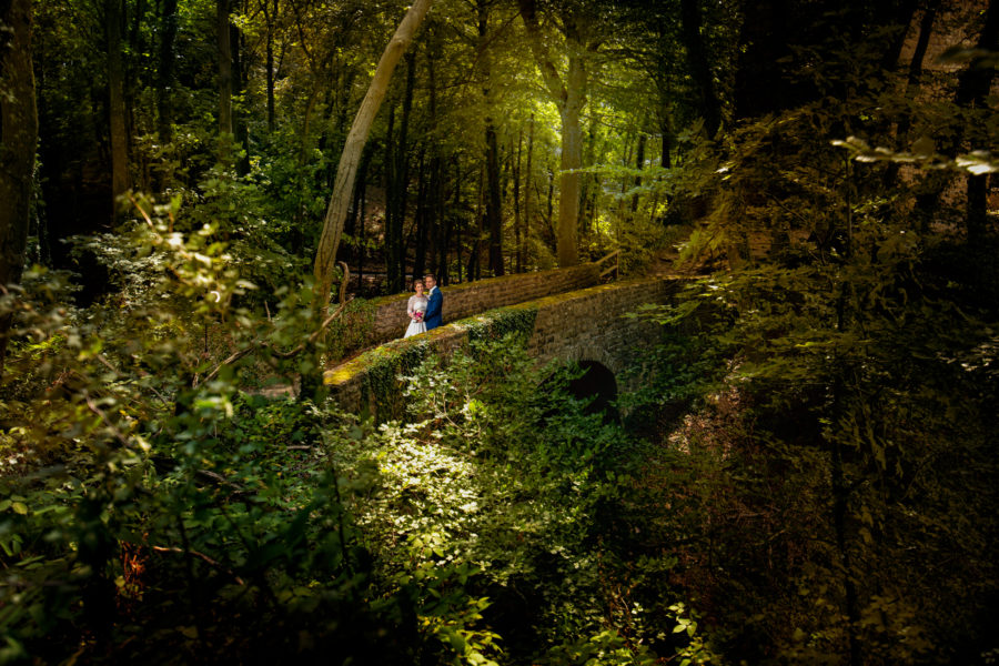Hochzeitsfotograf Trier, Bitburg, Luxemburg, Eifel Brautpaar Wald
