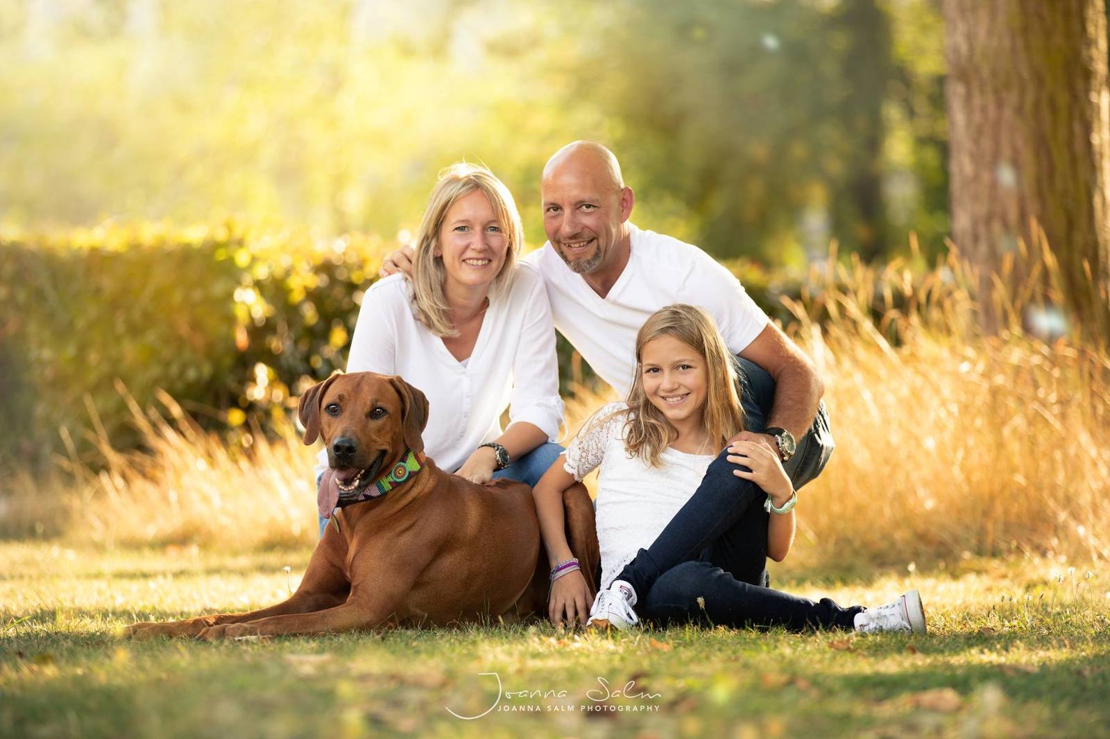 familienfotograf trier familie mit hund und mädchen