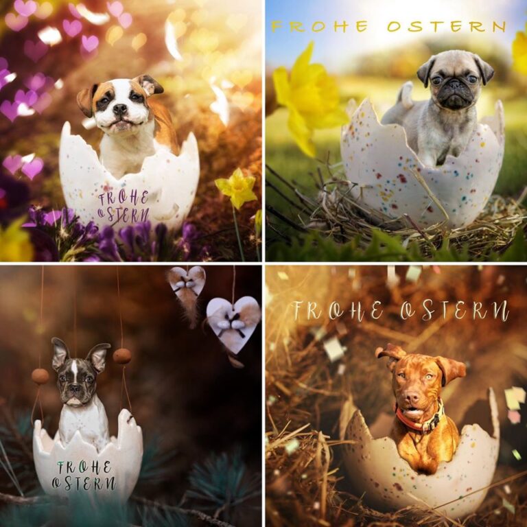 Fotograf Trier Ostern Ostergruss Grusskarte Kartendesign