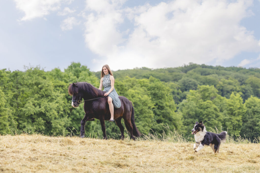 Reiterin auf Islandpferd mit Border Collie an ihrer Seite auf offener Wiese – Tierfotograf Trier Luxemburg Bitburg Zeeland